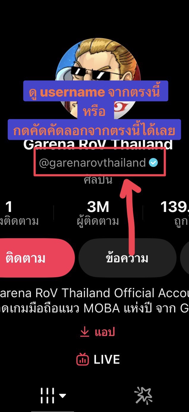วิธีดู username จากหน้าโปรไฟล์